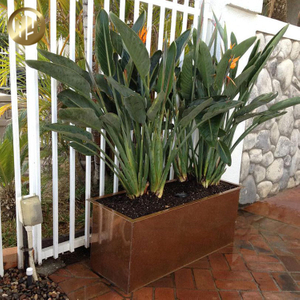 Unique Metal Powder Coating Rectangular Decoration Flower Planter Pots