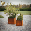 Corten Steel Rusty Metal Square Rusty Simple Planter Plantador Nursery