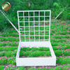 Hot Sale Garden Decoration Metal Flower Planter With Screen