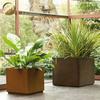 Wholesale Cube Metal Corten Steel Rusty Metal Room Decoration Plants Planter