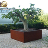 High Quality Flat Rectangular Corten Steel Metal Decoration Planter Pot