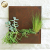 Modern Small Corten Steel Rusty Metal Decoration Wall Hanging Planter