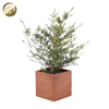 High Quality Corten Steel Rusty Metal Cube Decoration Planter Pots