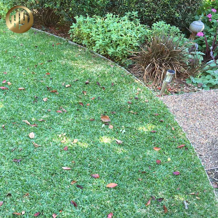 Metal Powder Coating Garden Decoration Plantador Nursery Lawn Edging