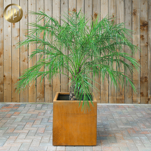 Small Simple Rusty Treatment Steel Metal Nursery Square Flower Planter